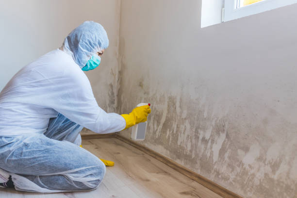 Crawl Space Mold Remediation treatment of floor joists in South Hackensack